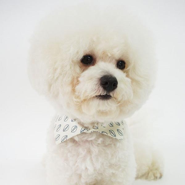 PETTOMAM - Dog Collar Cat Necklace