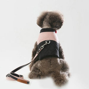 DASOM - Padded Harness