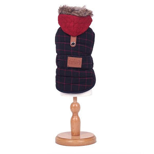 INUYINU - Paris Dock British Padded Green